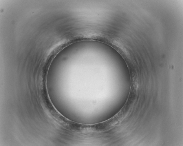 X0000089440587200707061410