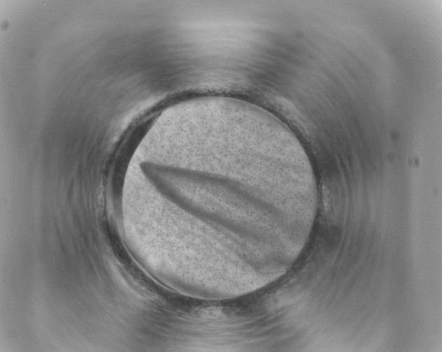 X0000089440588200707061410