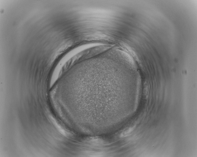 X0000089440589200707061410