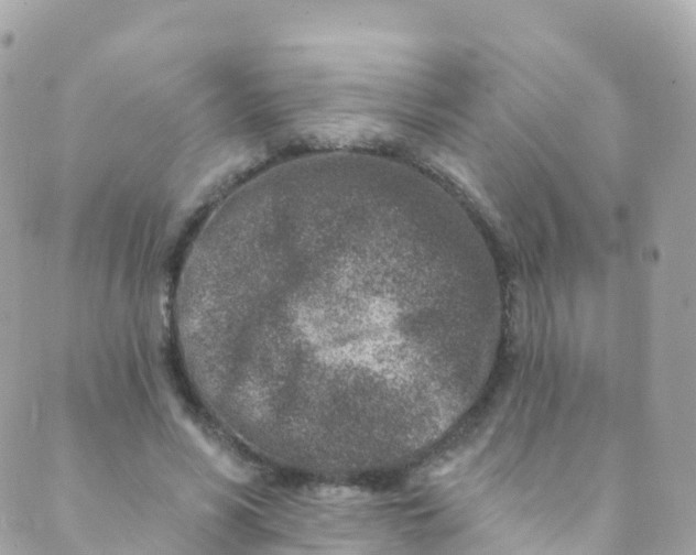 X0000089440590200707061410