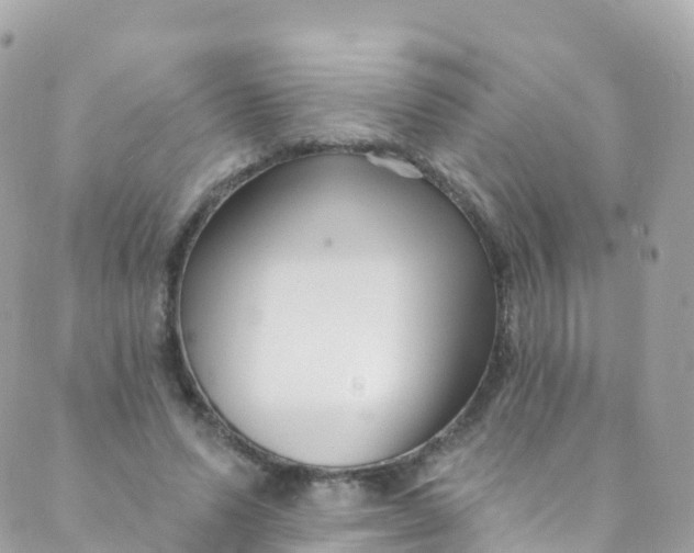 X0000089440591200707061410