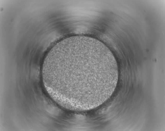 X0000089440592200707061410