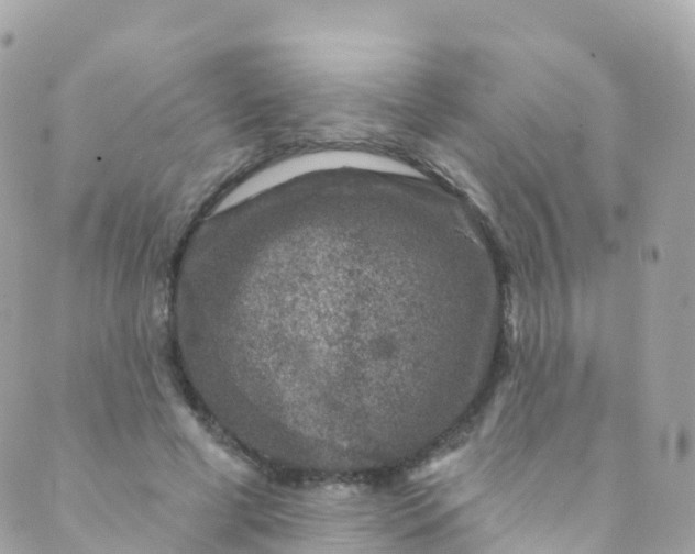 X0000089440593200707061410