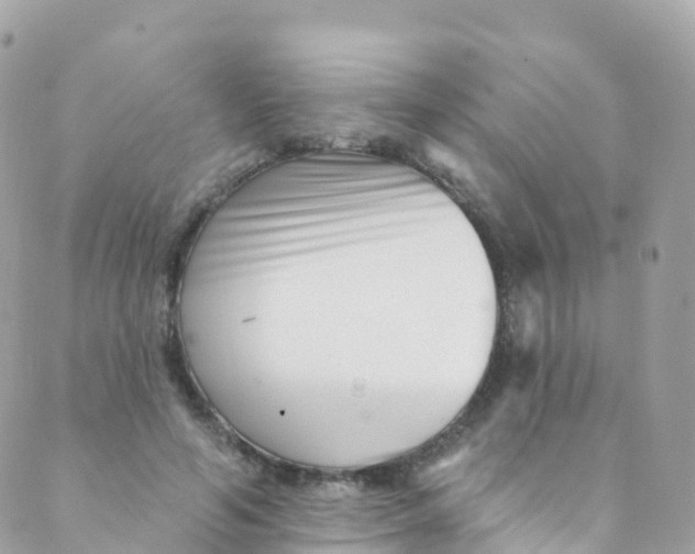 X0000089440594200707061410