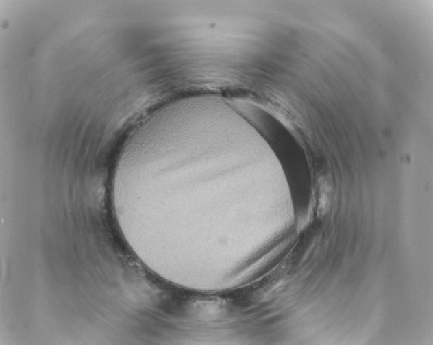 X0000089440595200707061410