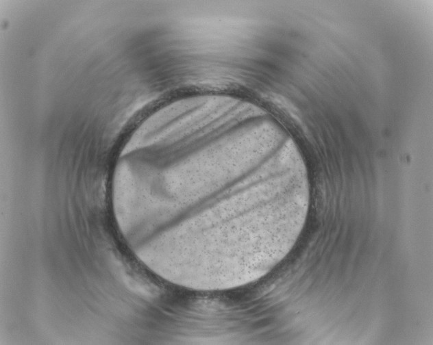 X0000089440596200707061410