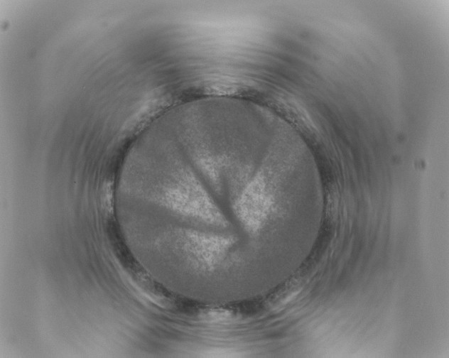 X0000089440598200707061410