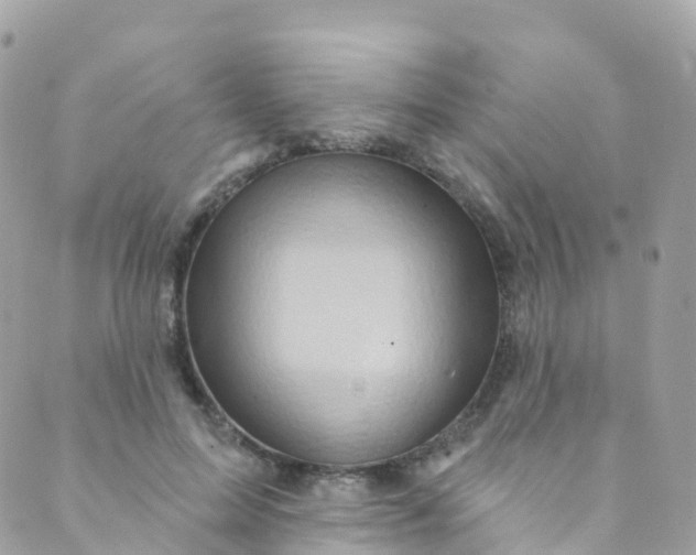 X0000089440599200707061410