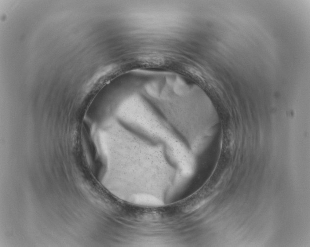 X0000089440600200707061410