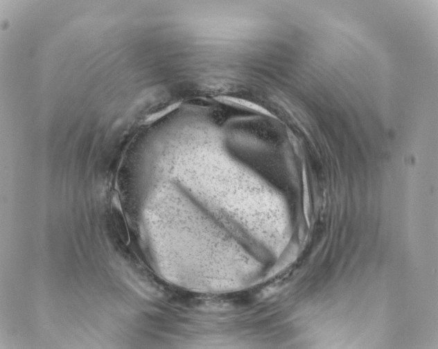 X0000089440601200707061410