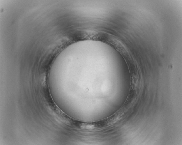 X0000089440602200707061410