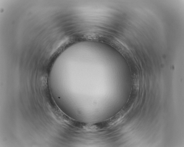 X0000089440603200707061410