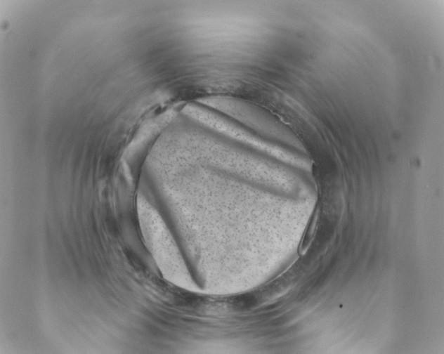 X0000089440604200707061410