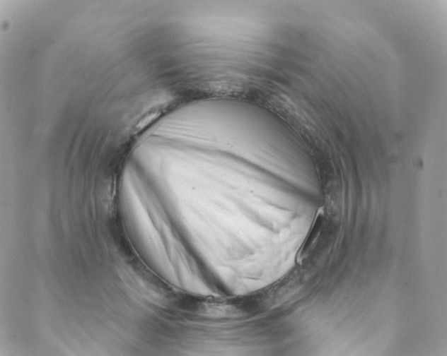 X0000089440605200707061410