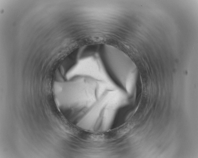 X0000089440606200707061410