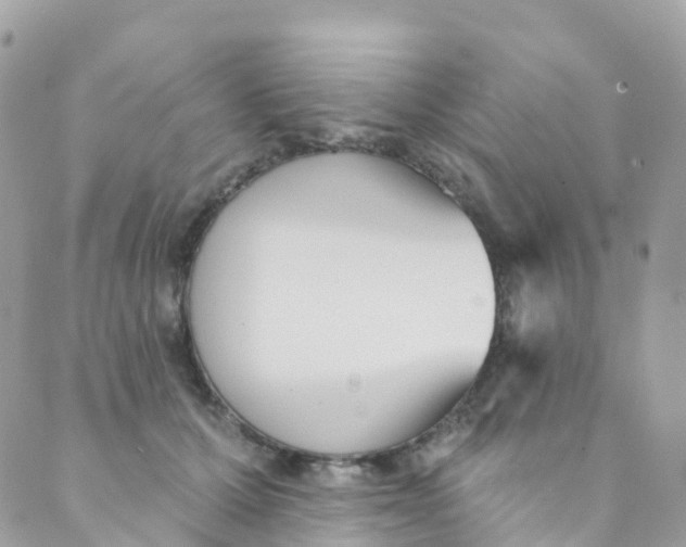 X0000089440607200707061410