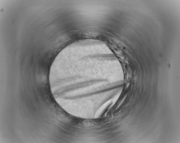 X0000089440608200707061410