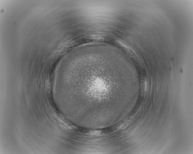 X0000089440609200707061410