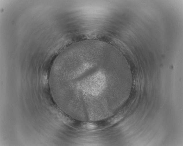 X0000089440610200707061410