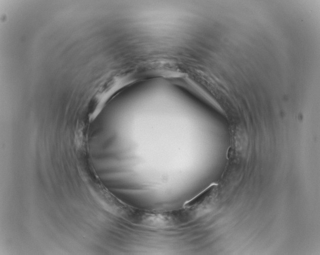 X0000089440611200707061410