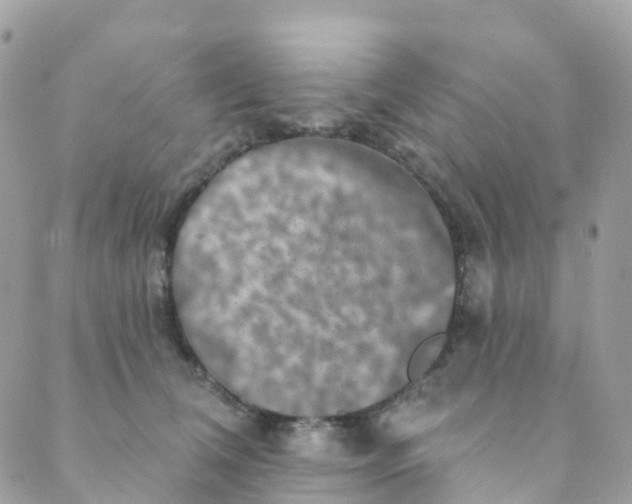 X0000089440612200707061410