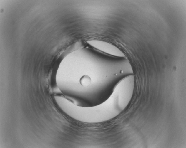 X0000089440613200707061410