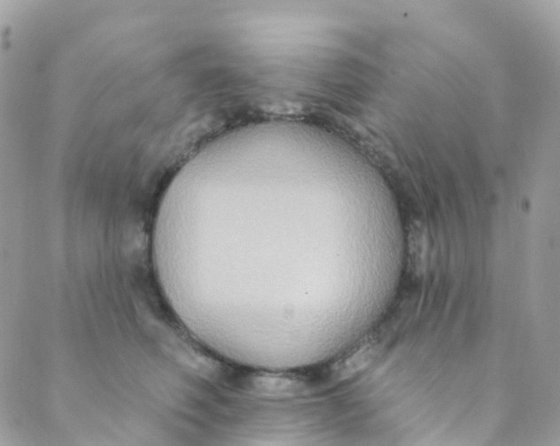 X0000089440614200707061410