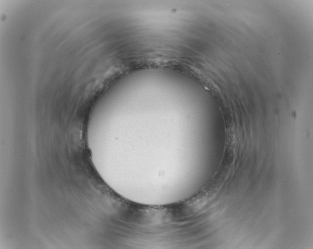 X0000089440615200707061410