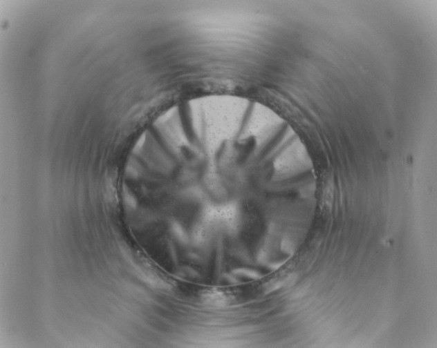 X0000089440616200707061410