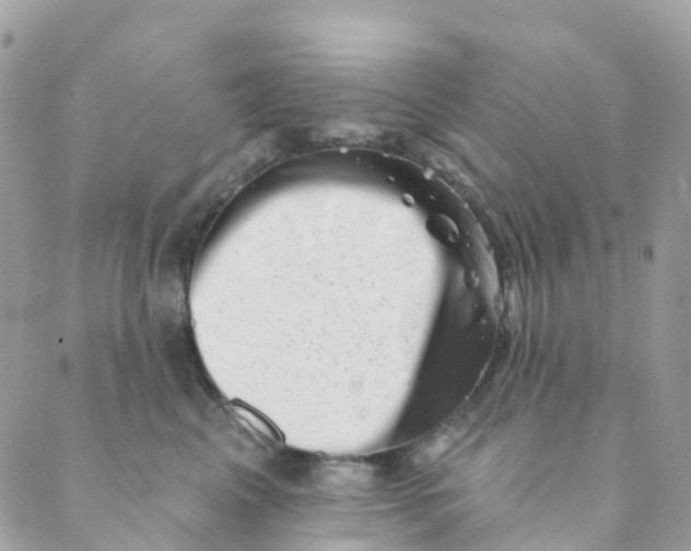 X0000089440617200707061410