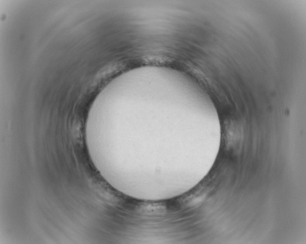 X0000089440619200707061410