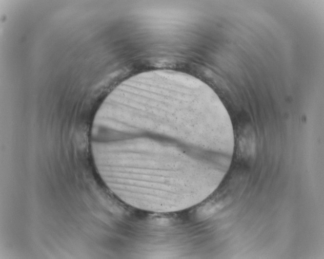 X0000089440620200707061410