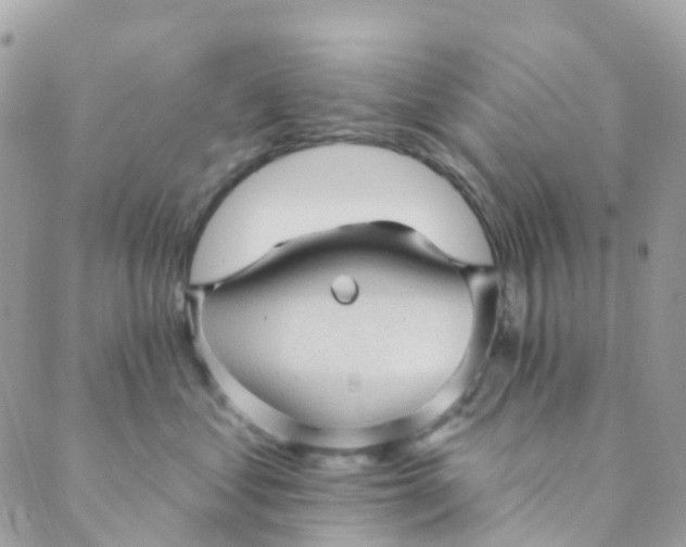 X0000089440621200707061410