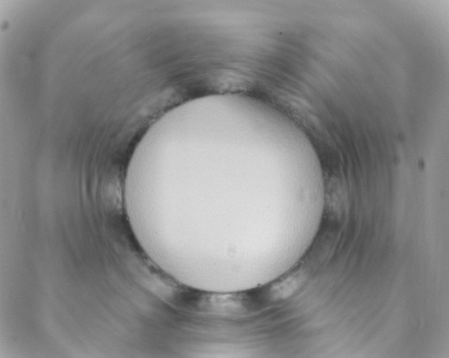 X0000089440622200707061410