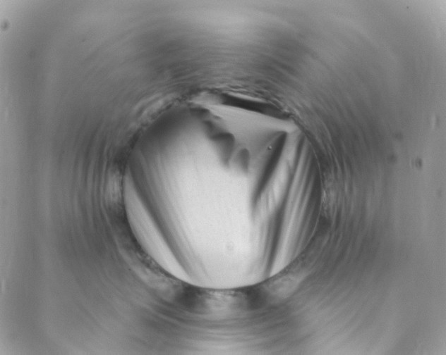 X0000089440623200707061410