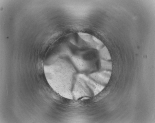 X0000089440624200707061410