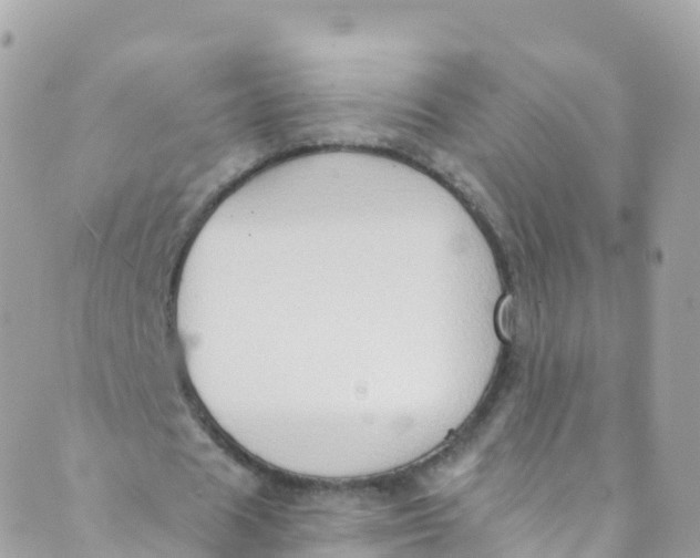 X0000089440625200707061409