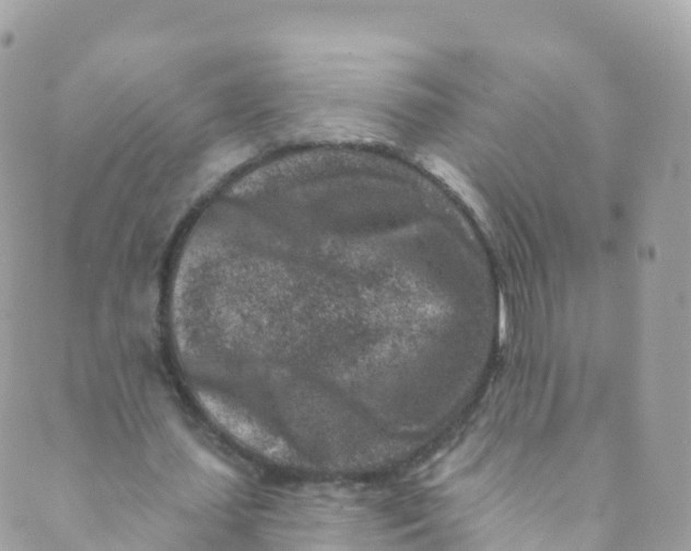 X0000089440627200707061409