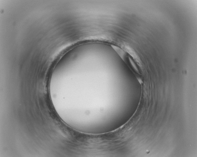 X0000089440628200707061409