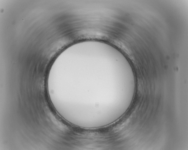 X0000089440629200707061409