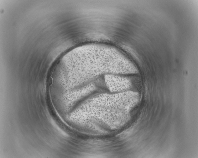 X0000089440630200707061409