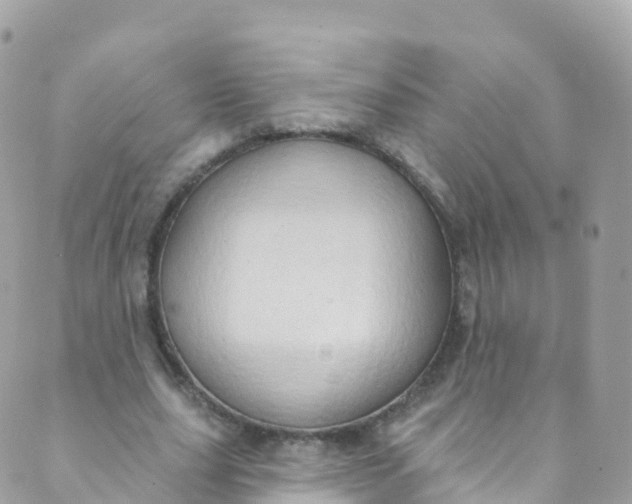 X0000089440631200707061409