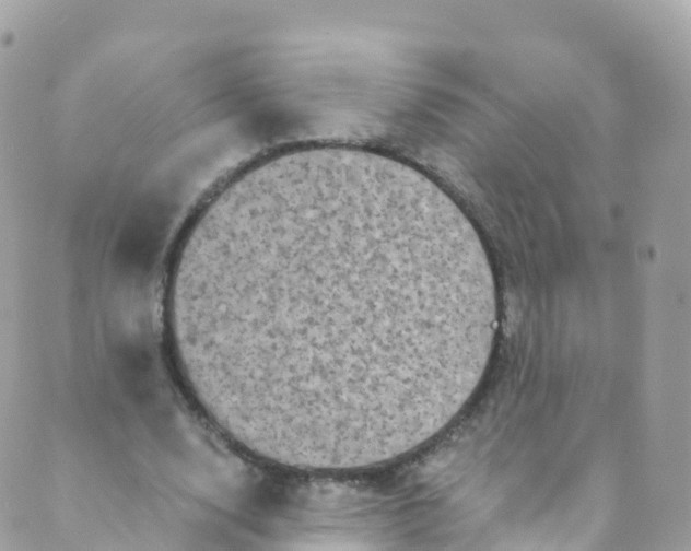 X0000089440632200707061409