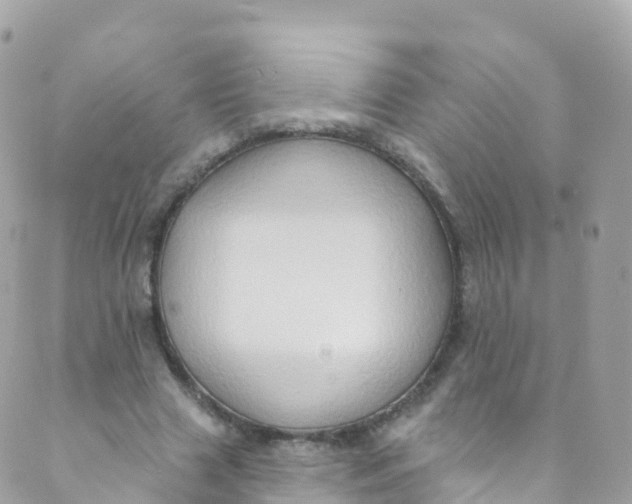 X0000089440633200707061409