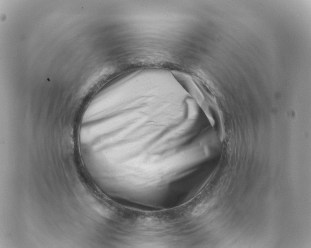 X0000089440634200707061409