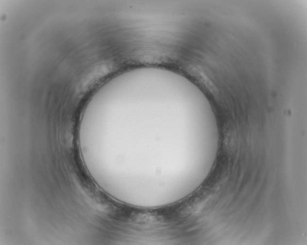 X0000089440635200707061409