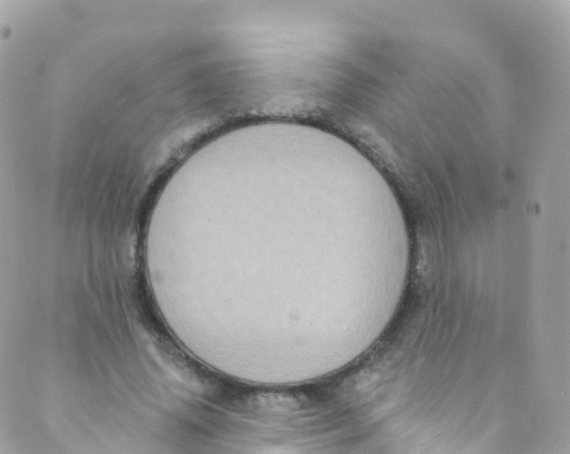 X0000089440636200707061409