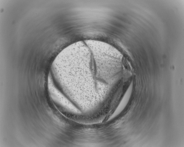 X0000089440637200707061409