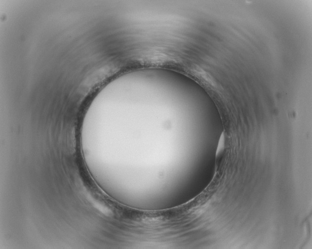 X0000089440638200707061409