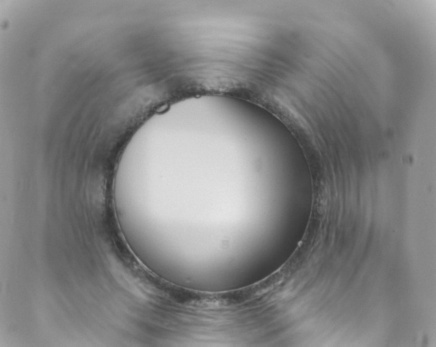 X0000089440639200707061409